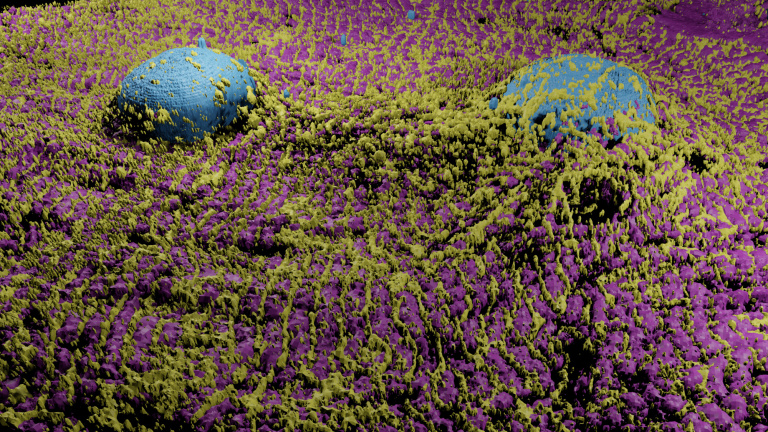 Blue spheres sitting on purple field overgrown with small green particles 