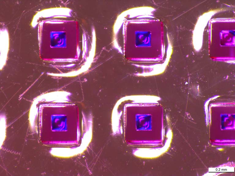 close-up view of dye-loaded particles on a glass slide