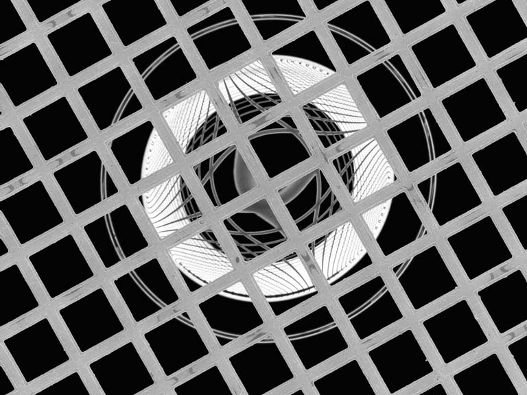 circular rings seen through a grid of squares