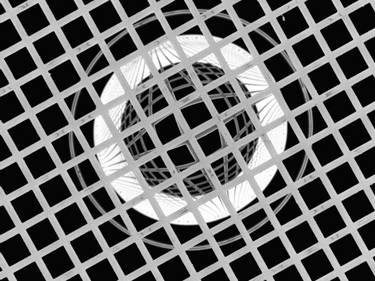 circular rings seen through a grid of squares