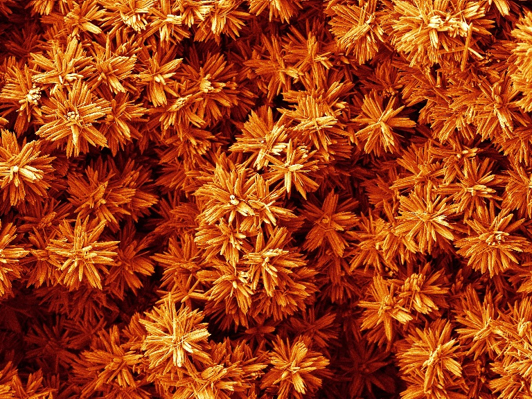 flower-like crystals in a cluster