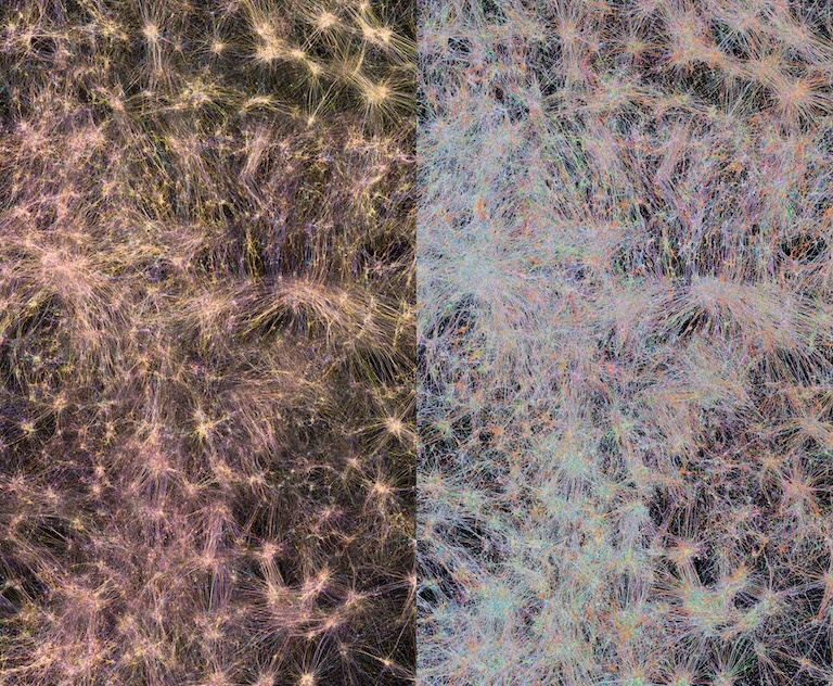 A pink and golden on the left and white, blue, and pink network of neurons in the right in a dark background