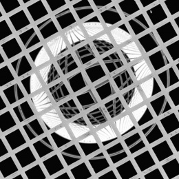 circular rings seen through a grid of squares