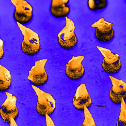 close up view of gold flame-shaped needles on an indigo background