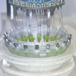 wires in a cylindrical shape connecting electrodes to a round computer chip