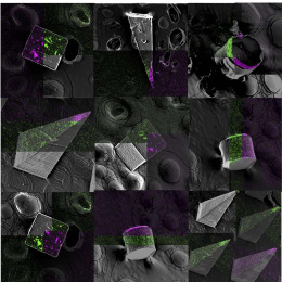 nine-square mosaic of cubic, triangular, pyramidal, and cylindrical structures. Each square shows the view split three ways between green, magenta, and grayscale